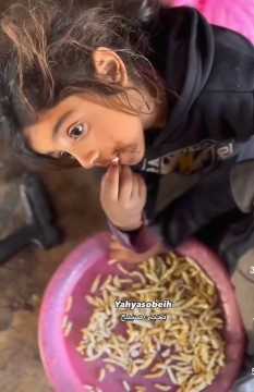 Anak perempuan di Gaza makan keripik sisa pabrik yang kadaluwarsa. [Instagram]